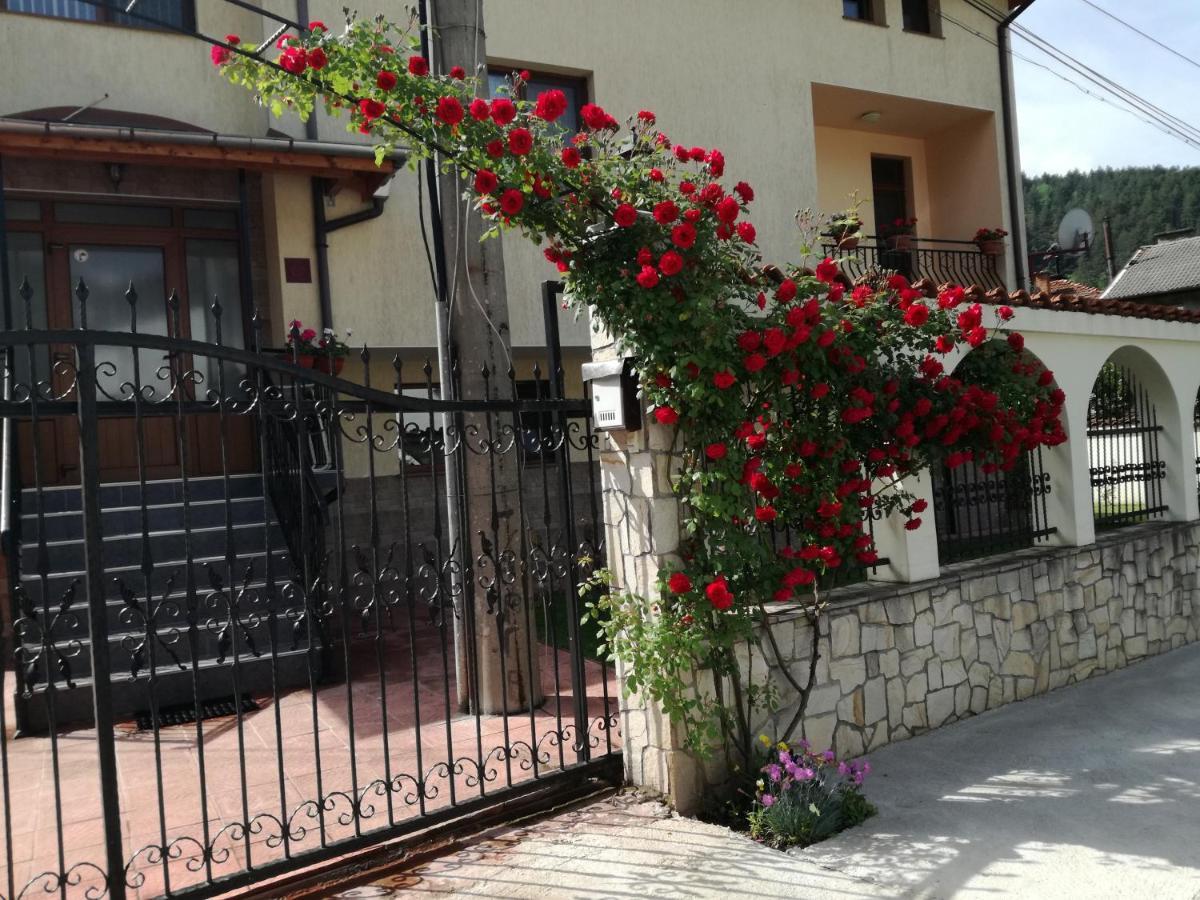 Guest House Benita Dövlen Dış mekan fotoğraf