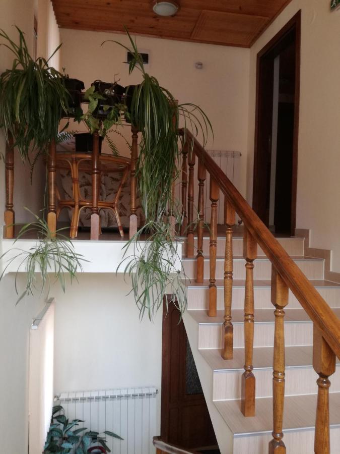 Guest House Benita Dövlen Dış mekan fotoğraf
