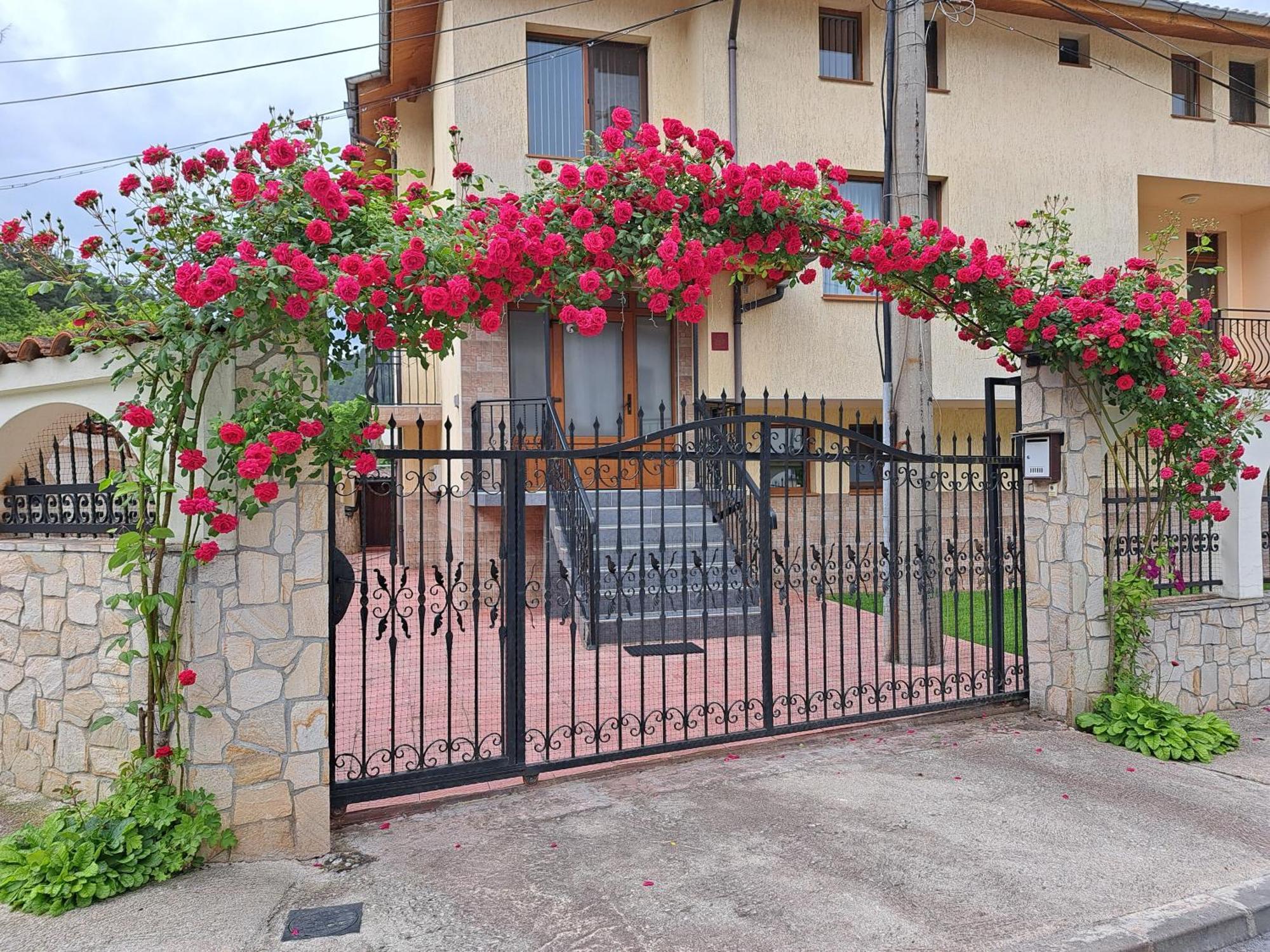 Guest House Benita Dövlen Dış mekan fotoğraf