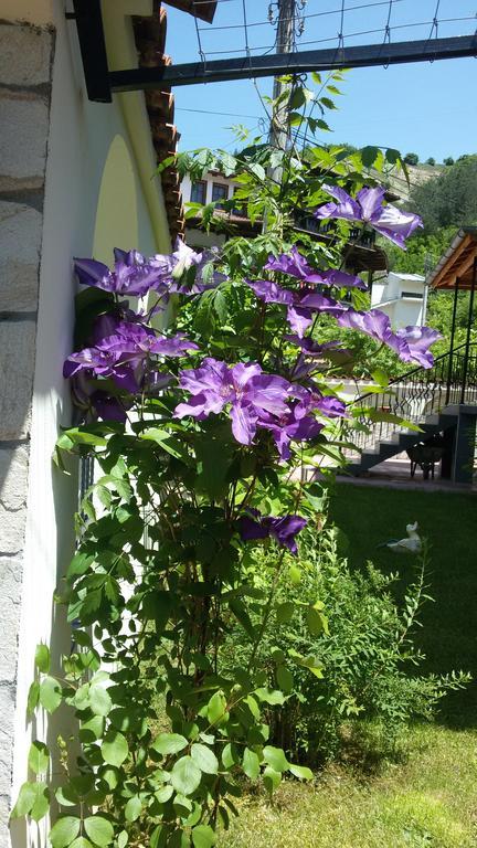 Guest House Benita Dövlen Dış mekan fotoğraf